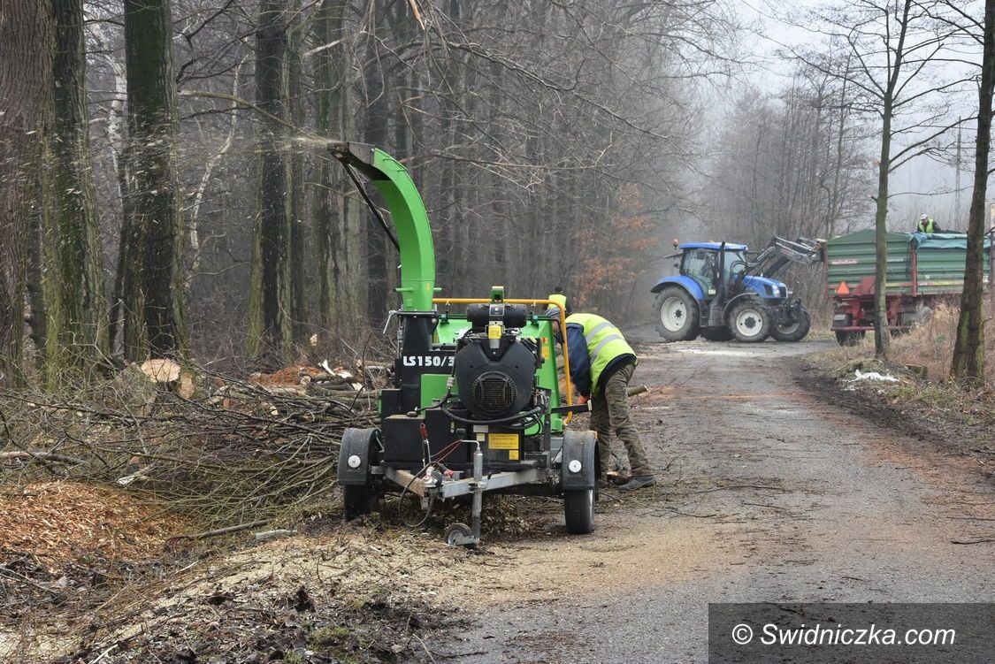 Gmina Świdnica: Wiosenne porządki