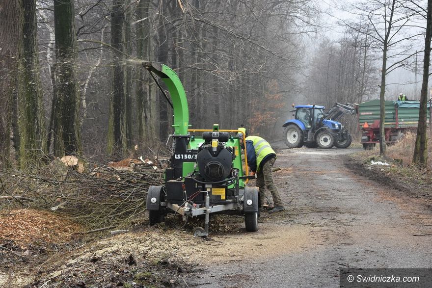 Gmina Świdnica: Wiosenne porządki