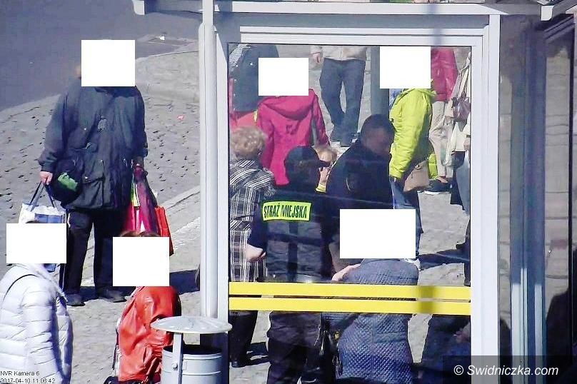 Świdnica: Spożywali alkohol w niedozwolonych miejscach