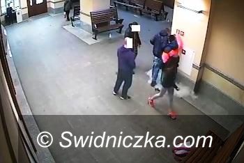 Świdnica: Nietypowa interwencja