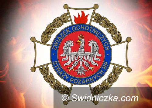 Gniewków: Alarmowanie OSP Gniewków będzie szybsze
