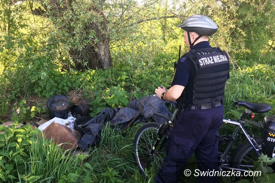 Świdnica: Ekologiczny patrol strażników miejskich
