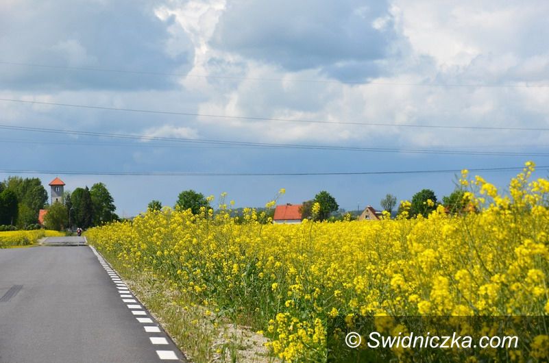Gmina Strzegom: Miliony na scalanie