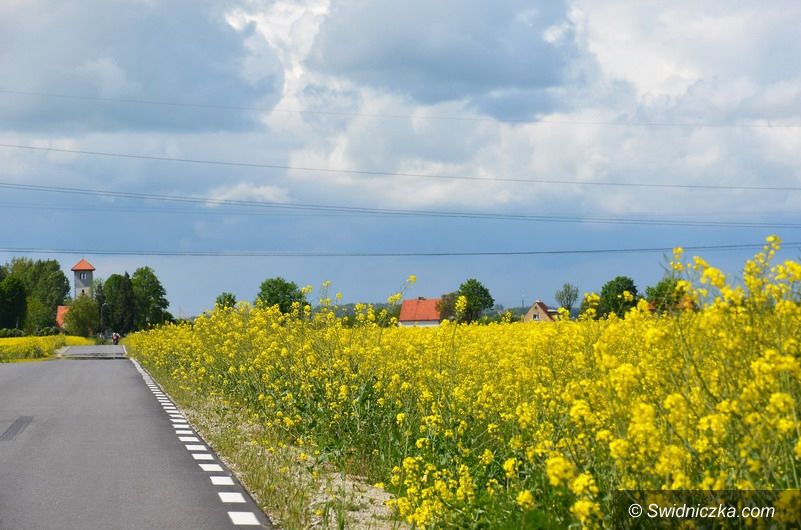 Gmina Strzegom: Miliony na scalanie