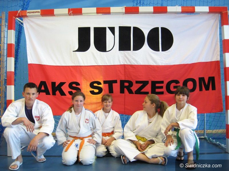 Strzegom: Sukcesy judoków w Żórawinie