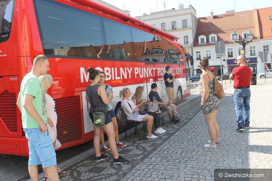 Świebodzice: Udana akcja w promieniach słońca