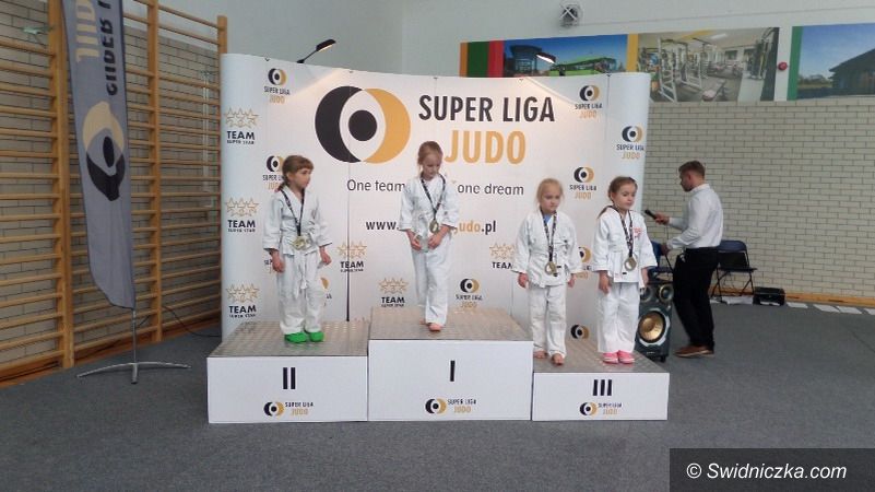 Strzegom: Tatami znowu z medalami