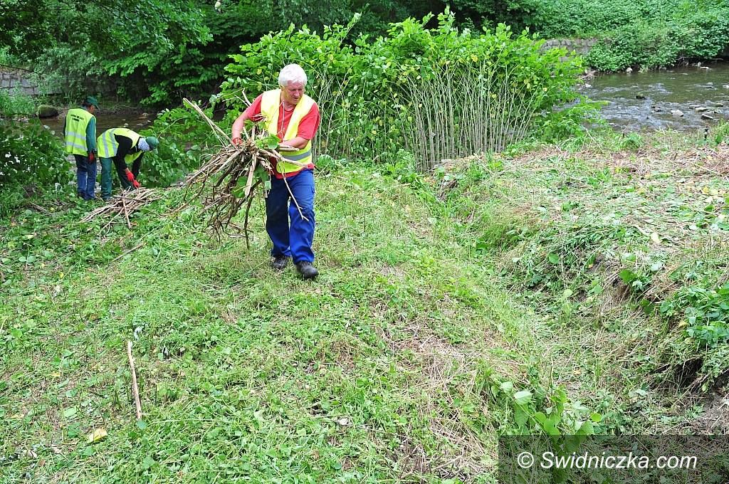 Świdnica: Porządki nad Bystrzycą