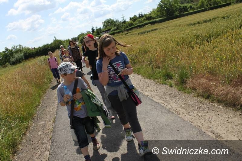 Świebodzice: Wakacje w mieście