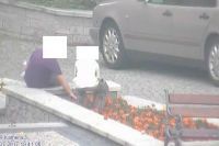 Świdnica: Niszczyli dobro wspólne