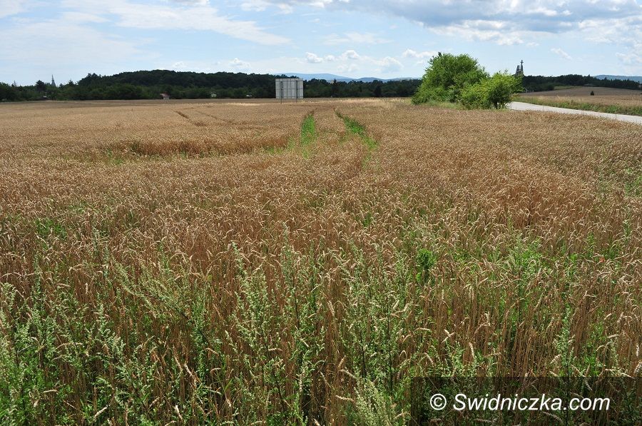 Świdnica: 1,6 mln dofinansowania na przygotowanie terenów inwestycyjnych
