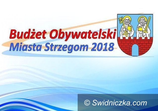 Strzegom: Zgłoś swój projekt do Budżetu Obywatelskiego