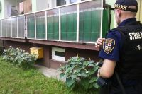 Świdnica: Trująca roślina pod balkonem