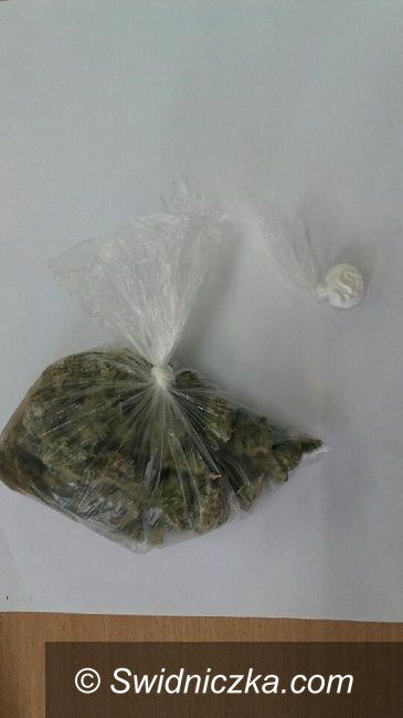 Świebodzice: Amfetamina i marihuana w biurku