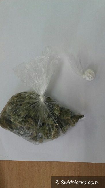 Świebodzice: Amfetamina i marihuana w biurku