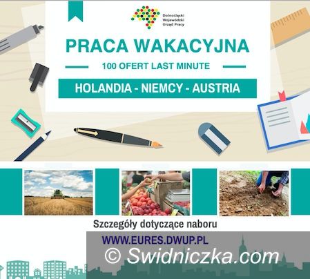 REGION: Wakacyjne oferty pracy last minute