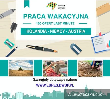 REGION: Wakacyjne oferty pracy last minute