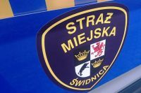 Świdnica: Jajkami w ludzi