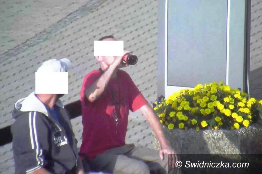 Świdnica: Pili "Pod Bykami"