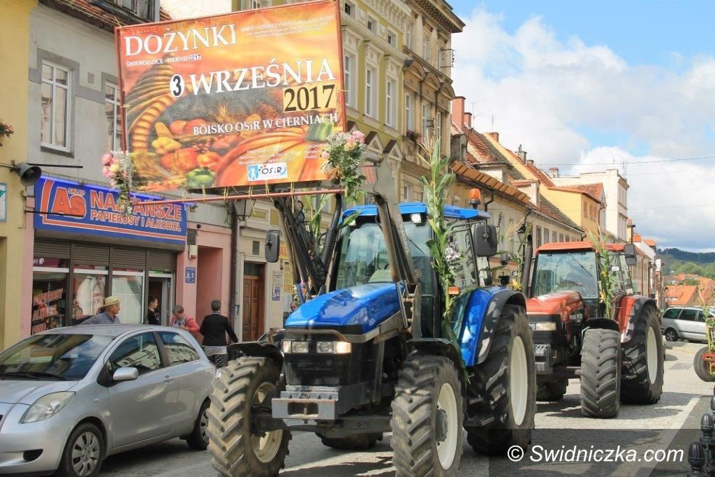 Świebodzice: W podziękowaniu za chleb
