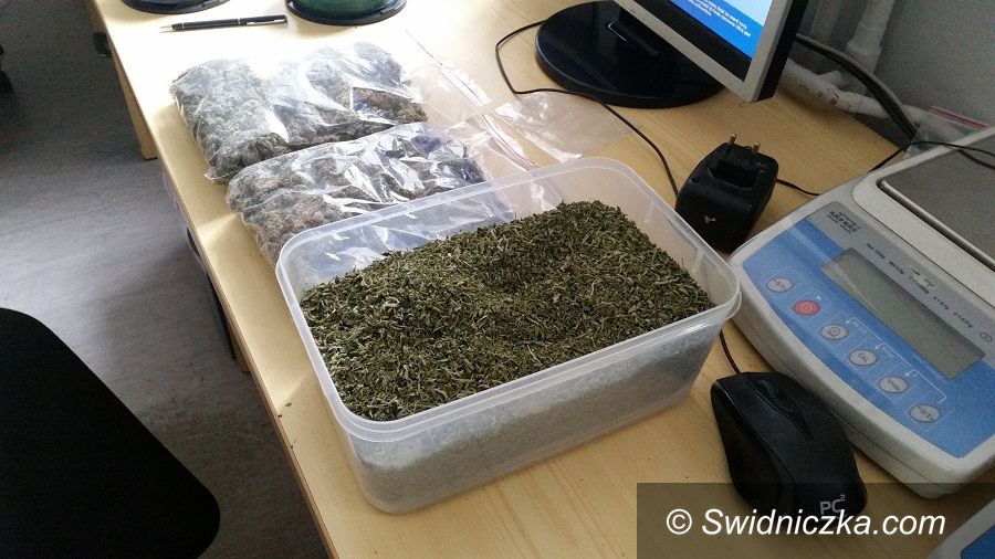 Świdnica: Marihuana w wiaderku po karmie dla psa