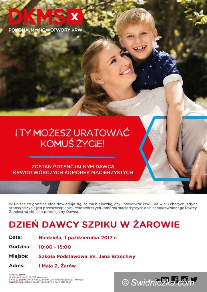 Żarów: Dzień Dawcy Szpiku w Żarowie