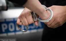 Świebodzice: Zatrzymany za kradzież z włamaniem