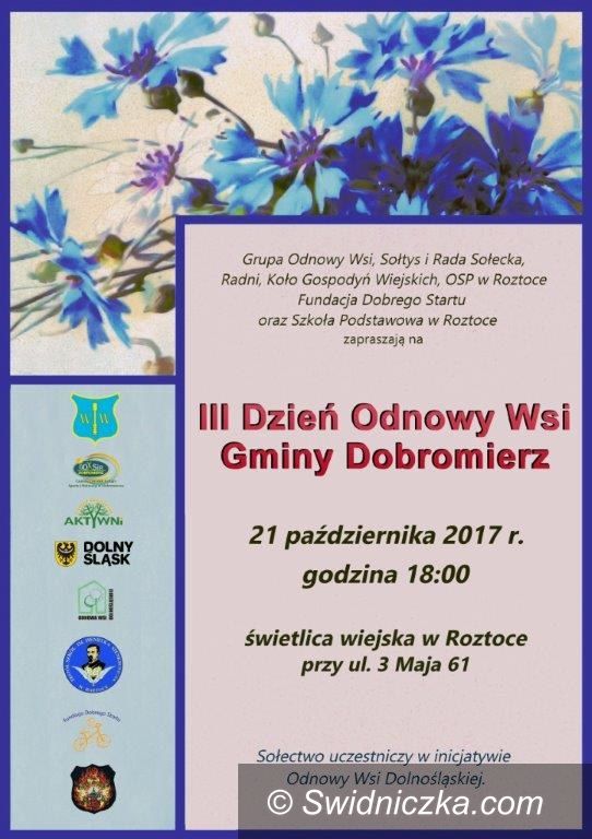 Roztoka: III Dzień Odnowy Wsi
