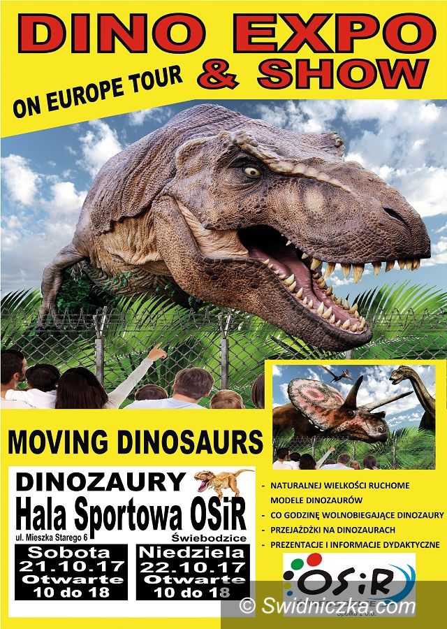 Świebodzice: Dinozaury jak żywe