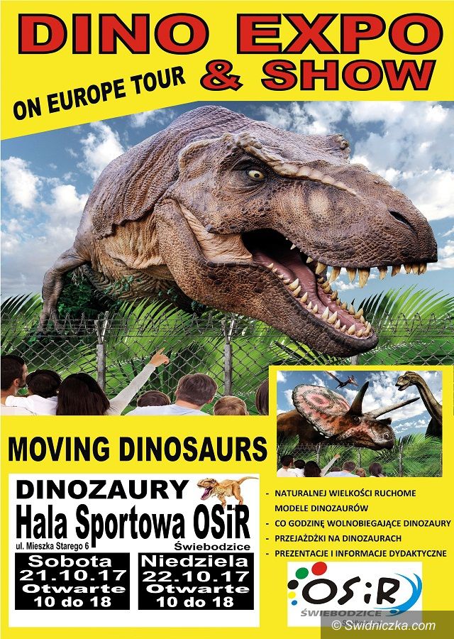 Świebodzice: Dinozaury jak żywe