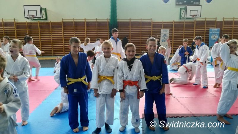 Strzegom: Tatami z workiem medali