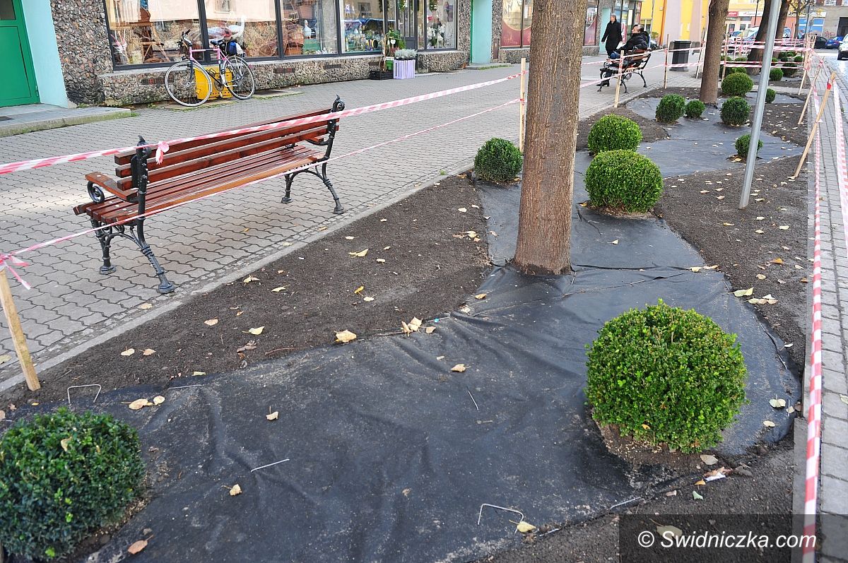 Świdnica: Nowe zieleńce przy ul. Bohaterów Getta