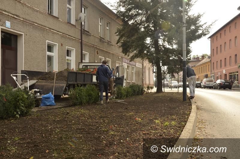 Żarów: Kolejny skwer w mieście zmienił wygląd