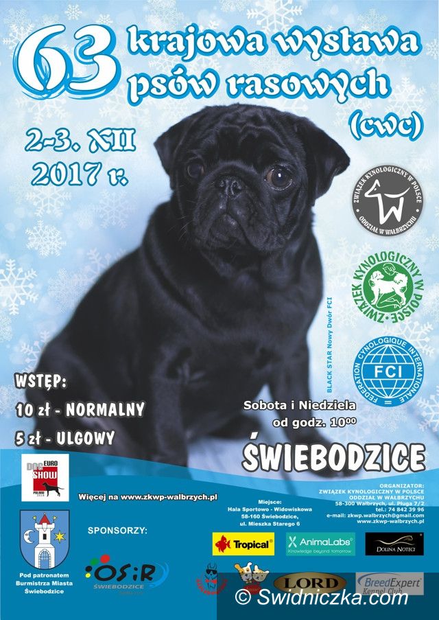 Świebodzice: Weekend z atrakcjami