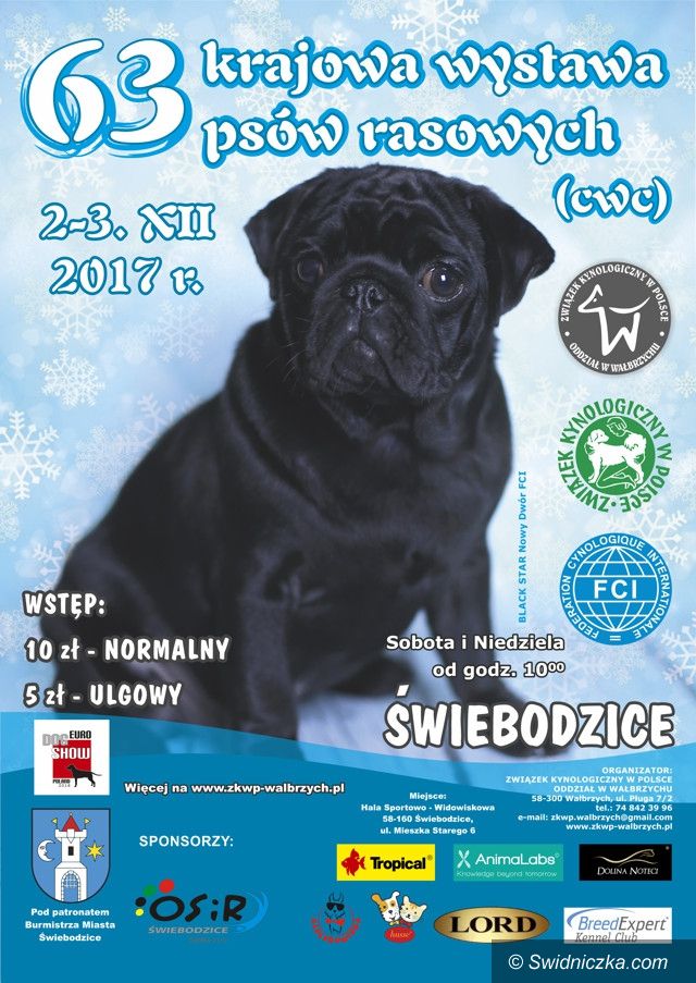 Świebodzice: Weekend z atrakcjami