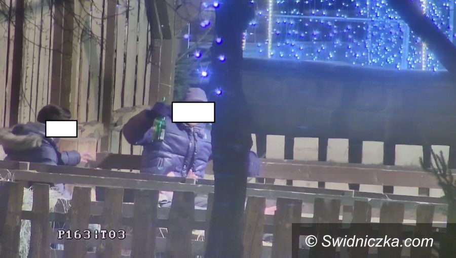 Świdnica: Szopka nie tyko do oglądania