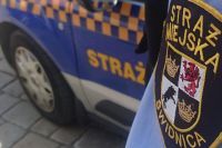 Świdnica: Mandat za niedopilnowanie psa