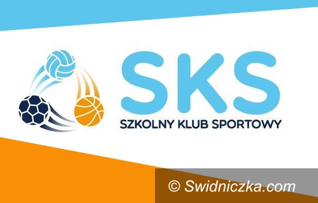Gmina Dobromierz: Atrakcyjne zajęcia sportowe