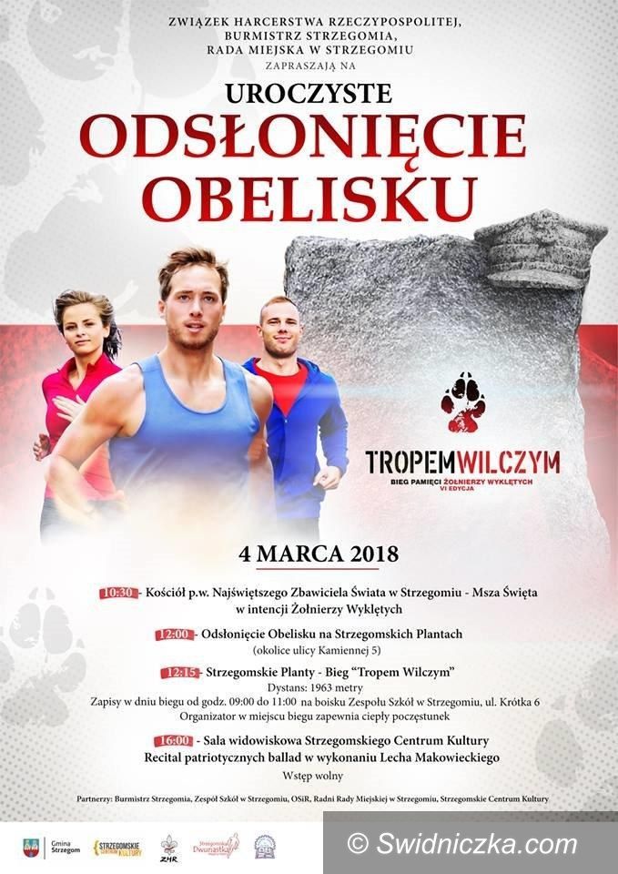 Strzegom: Uroczystości dotyczące Żołnierzy Wyklętych