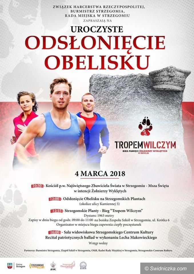 Strzegom: Uroczystości dotyczące Żołnierzy Wyklętych