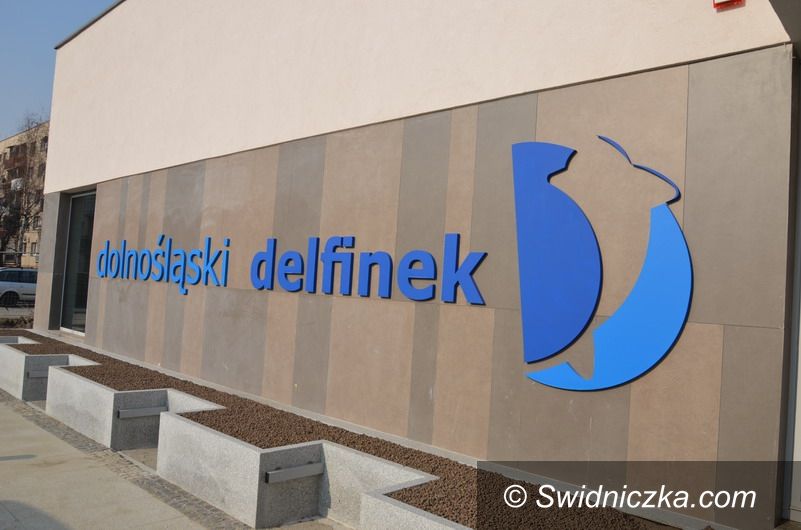 Strzegom: Otwarcie Delfinka