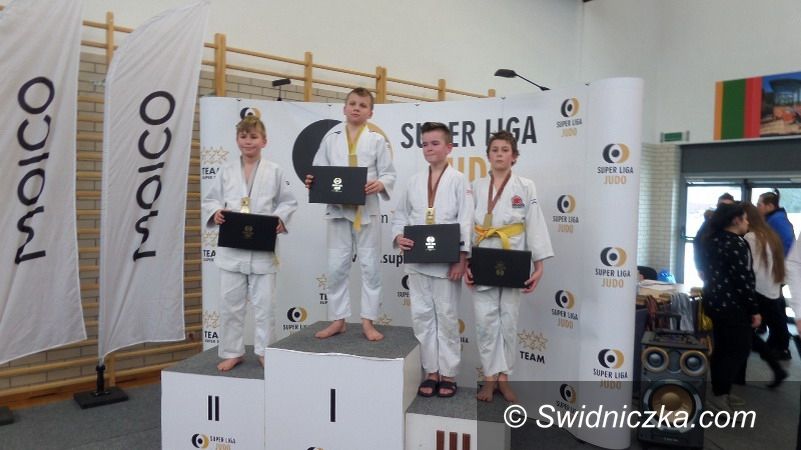 Strzegom: Tatami w super lidze