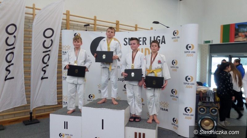 Strzegom: Tatami w super lidze