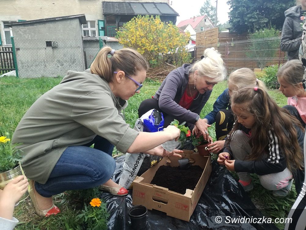 Gmina Świdnica: Dzień Ziemi w gminie Świdnica