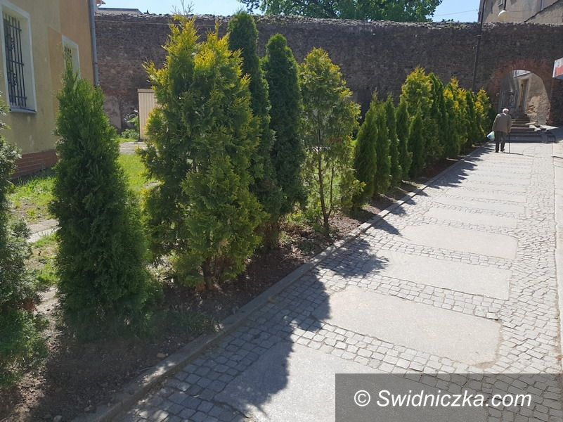Świebodzice: Więcej zieleni i urokliwych krzewów