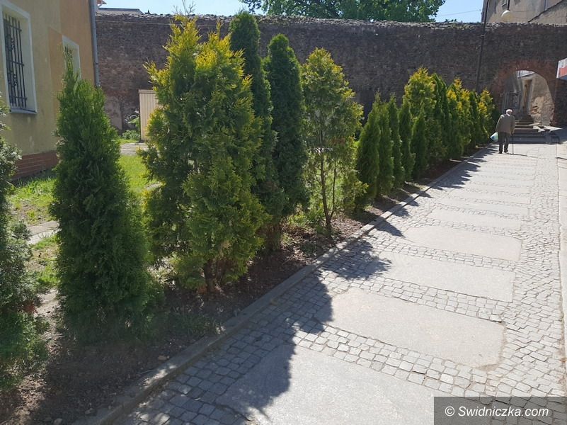 Świebodzice: Więcej zieleni i urokliwych krzewów