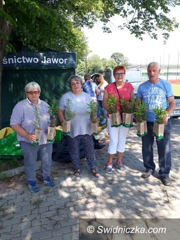 Strzegom: Drzewka za odpady trafiły do strzegomian