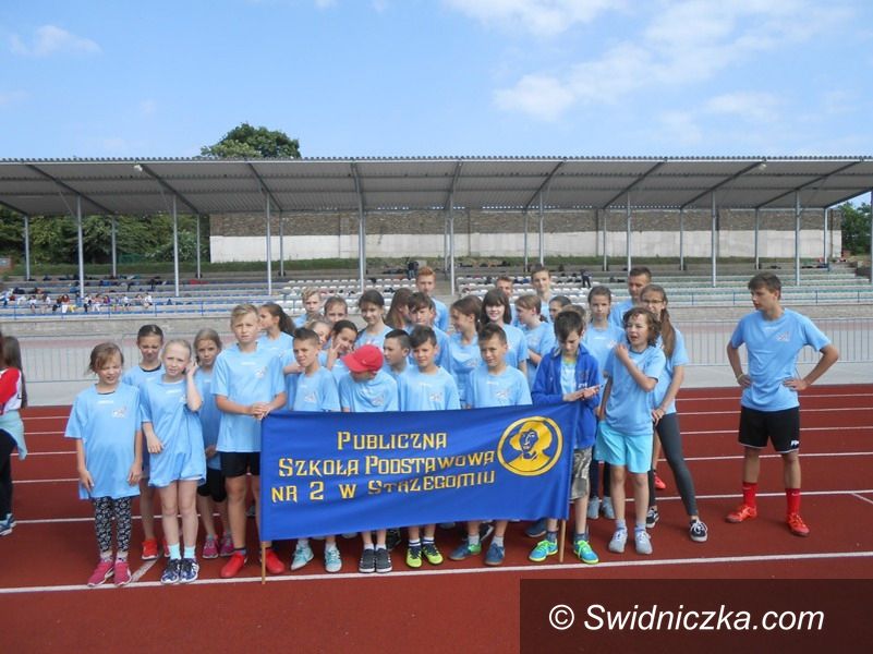 Strzegom: XV Mityng Lekkoatletyczny Szkół Podstawowych