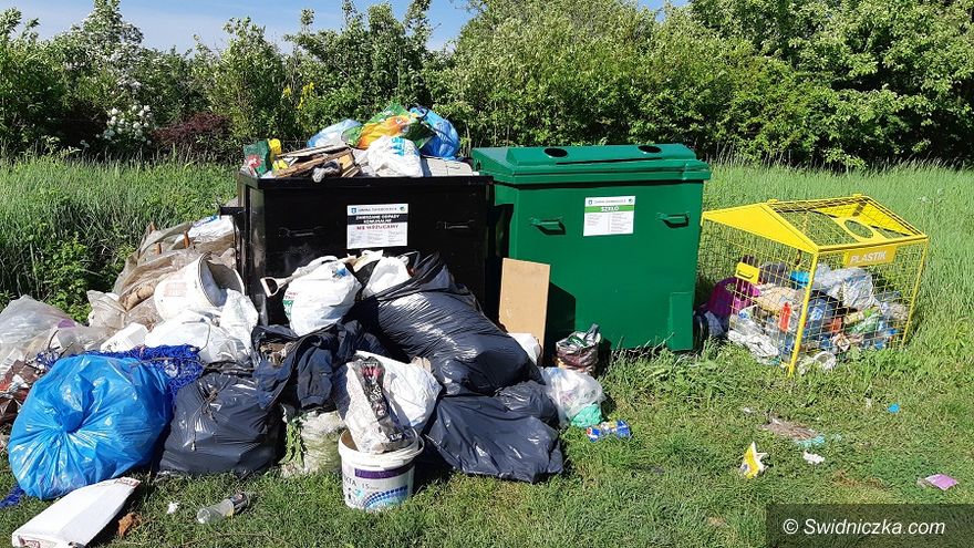 Świebodzice: Segregacja obowiązuje wszystkich