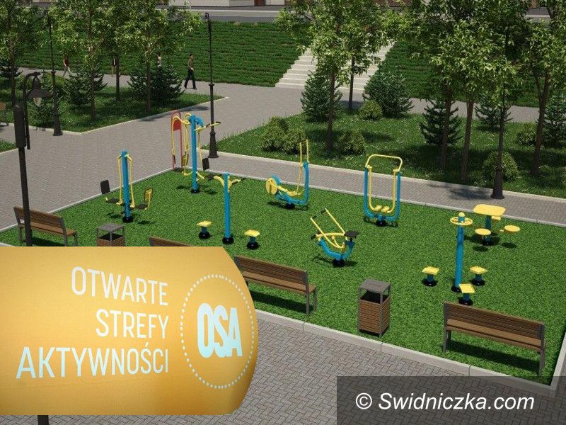 Borów: Otwarta Strefa Aktywności w Borowie